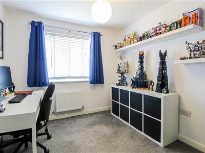 Picture 14